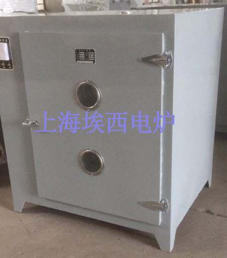 101A系列电热干燥箱